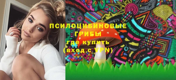 ALPHA PVP Остров